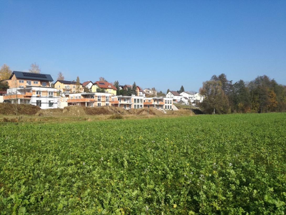 Ein begrünte landwirtschaftliche Fläche. Im Hintergrund sind mehrere Wohngebäude zu sehen.