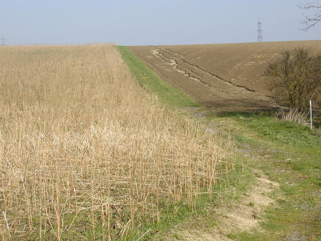 Zwei Felder mit leichter Handneigung. Am linken Feld sind Stoppelreste vorhanden. Am rechten Feld ist kein Bewuchs vorhanden, der ist Bodenerosion erkennbar.