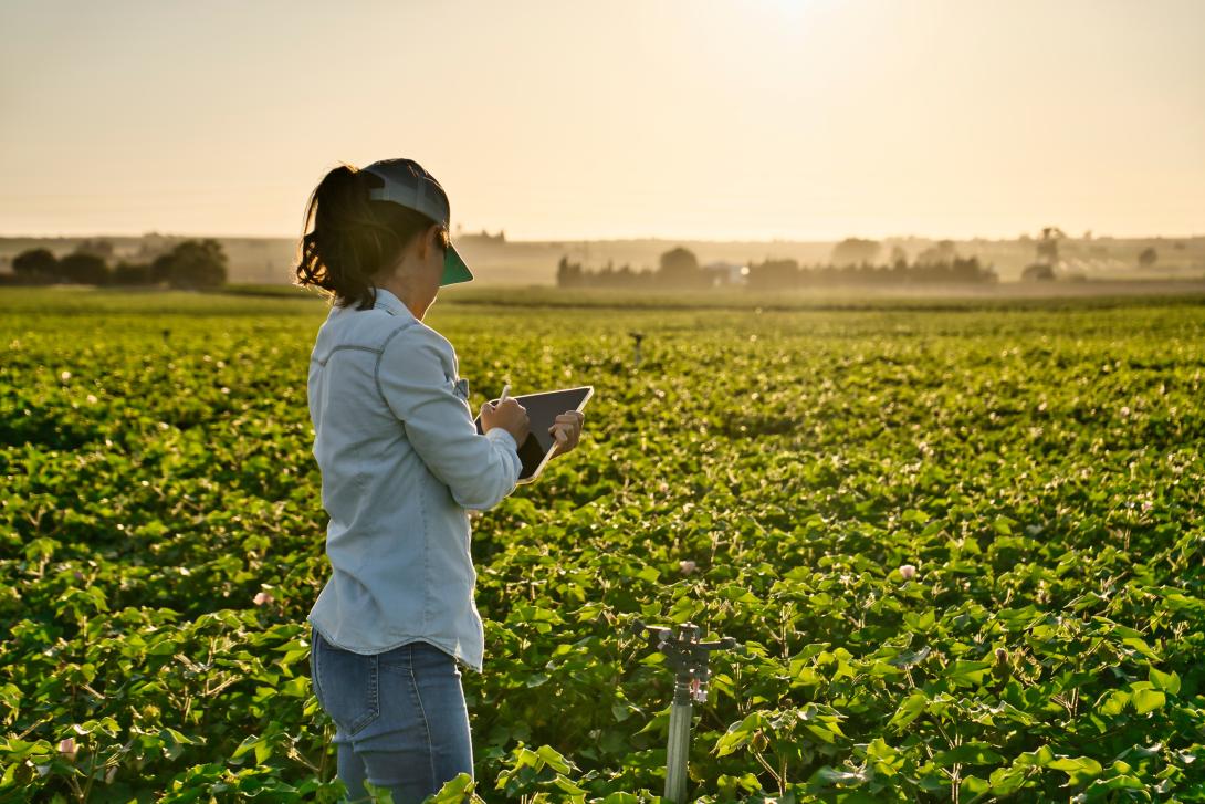 Eine Frau steht auf einer landwirtschaftlichen Fläche während sie mit einem Tablet arbeitet