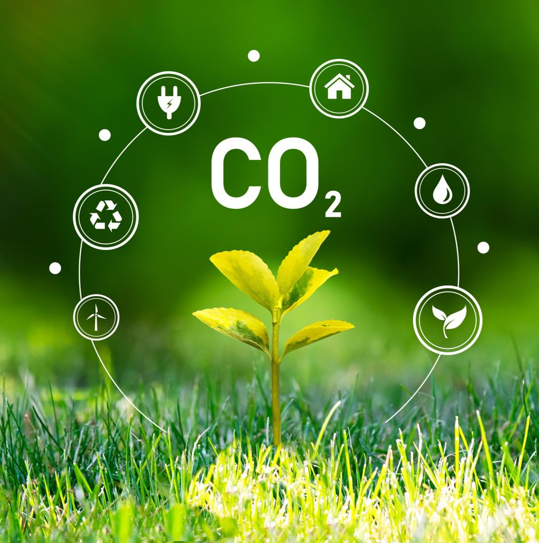 Eine Pflanze im Fokus auf einer grünen Wiese. Um die Pflanze sind mehrere Icons und der Text "CO2".