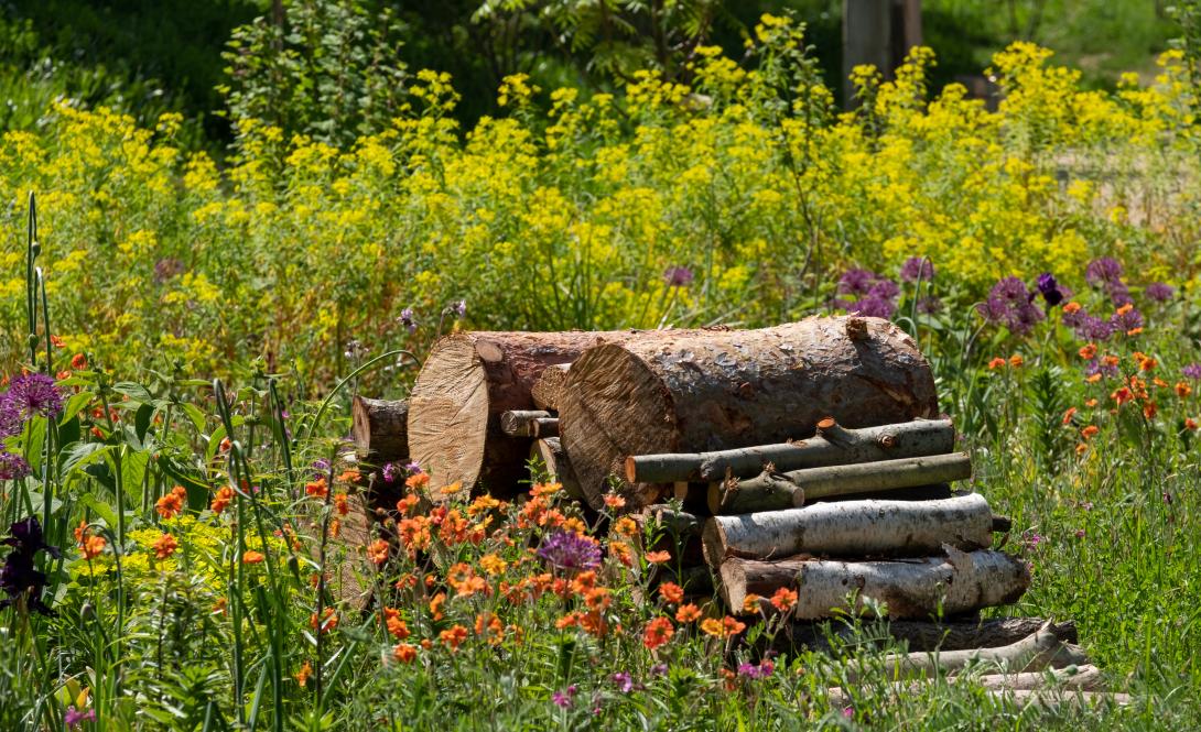 Ein Holzhaufen inmitten einer vielfältigen Blumenwiese.