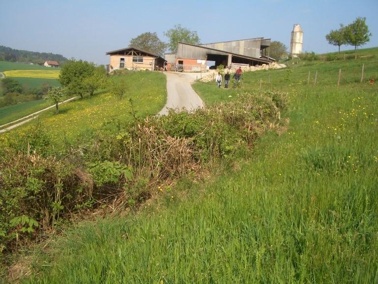 Eine Wiese auf einer Steilfläche neben der sich eine Hecke befindet. Im Anschluss an die Hecke verläuft eine Straße, die zu den Gebäuden eines landwirtschaftlichen Betriebes führt, der im Hintergrund erkennbar ist.