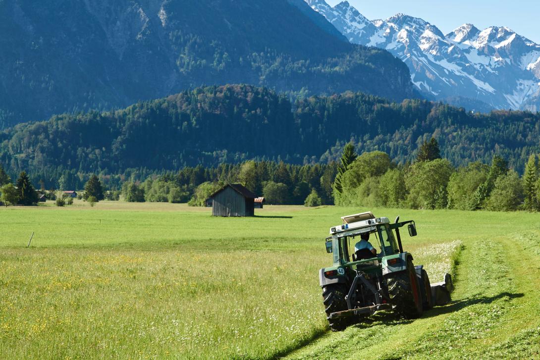 Ein Traktor im Ernteeinsatz beim Grassschnitt im Allgäu