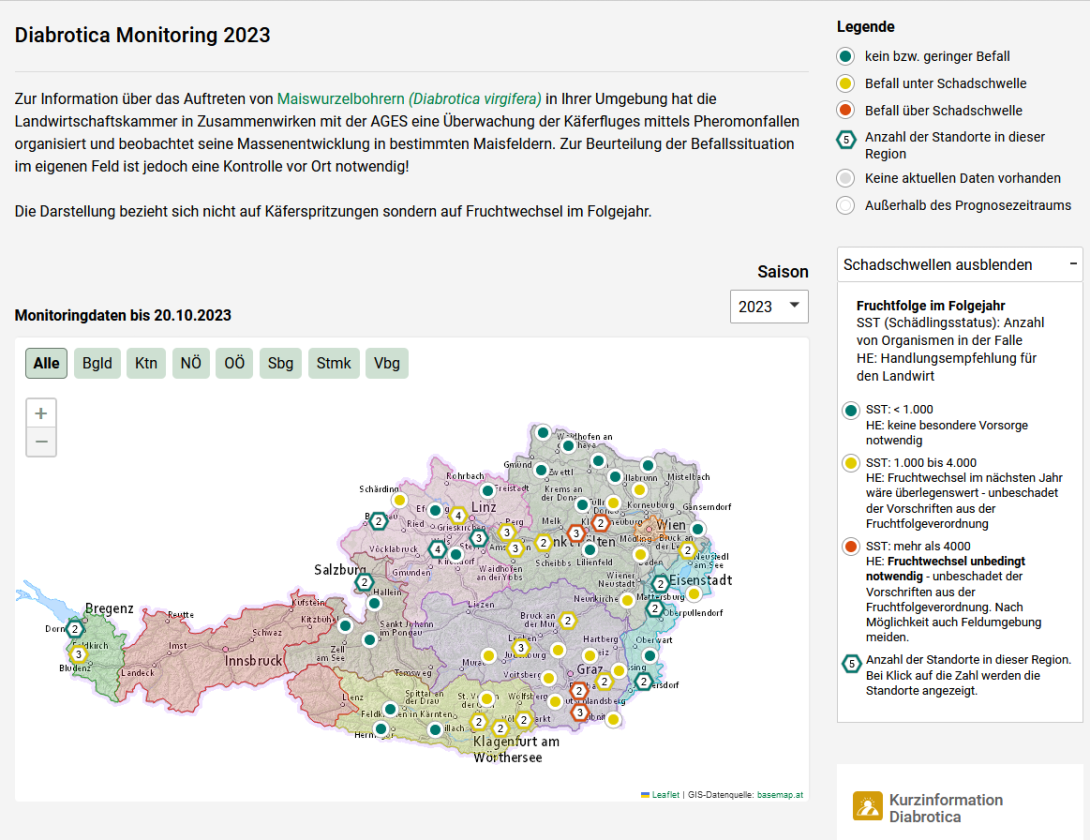 Ein Screenshot der Startseite der Website vom Warndienst der österreichischen Landwirtschaftskammer. Gezeigt werden die Monitoringdaten bis 20.10.2023 über das Auftreten von Maiswurzelbohrern (Diabrotica virgifera) in Österreich.