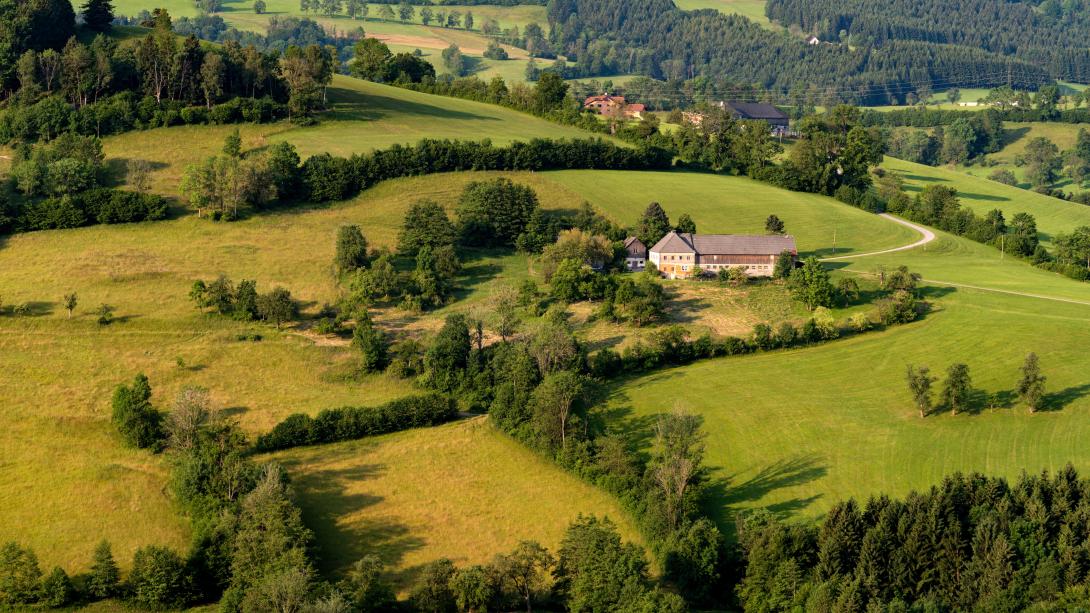 Mostviertel im Sommer, Bauernhaus mit Feld, Ybbstal