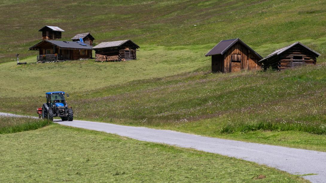 Heuernte bei Pfunds in Tirol