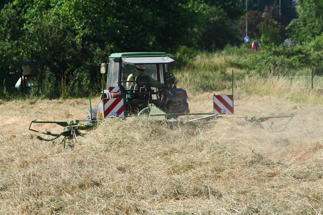 Ein Traktor wendet Heu