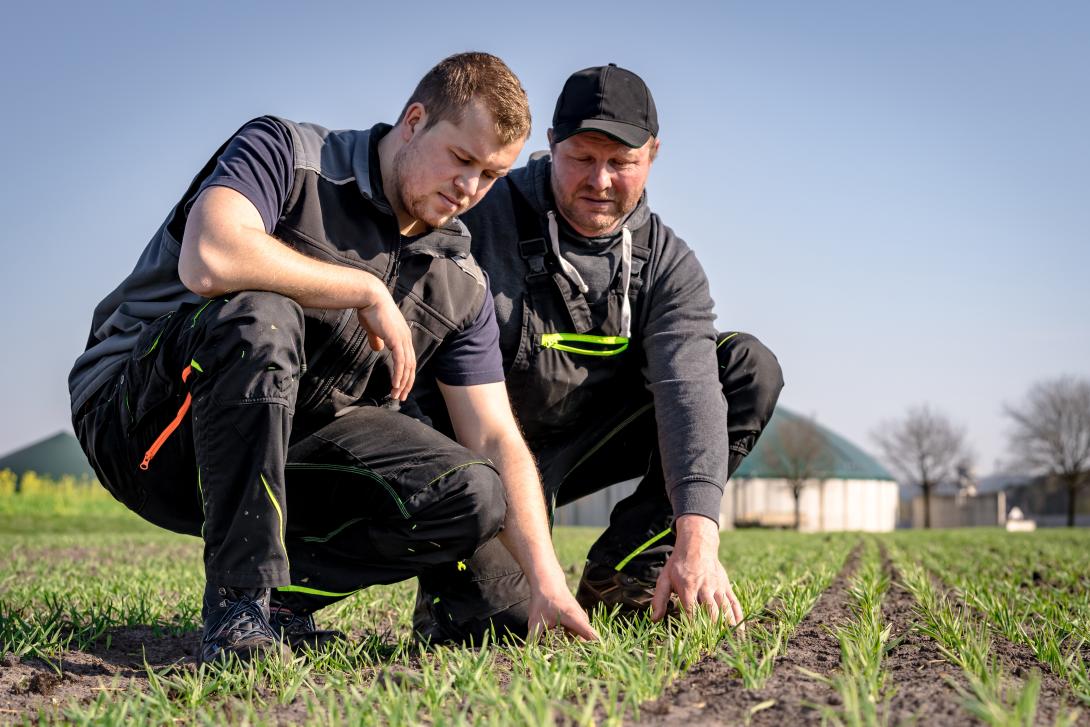 Zwei Landwirte begutachten junge Pflanzen am Feld