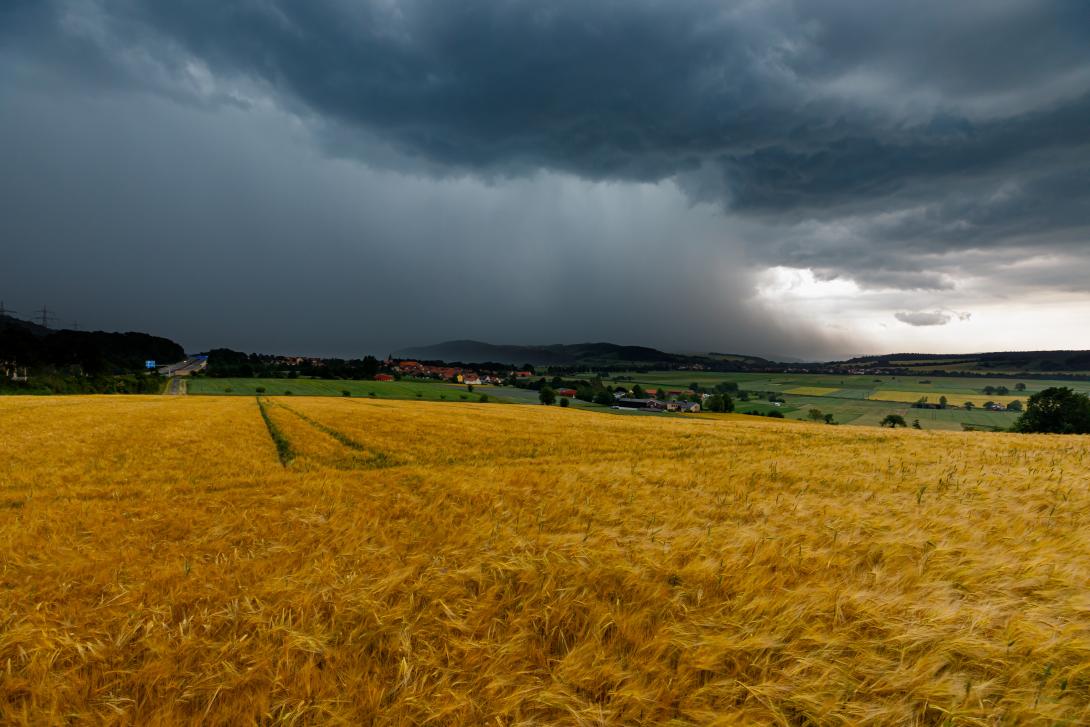 Beginnendes Unwetter über einem Getreidefeld