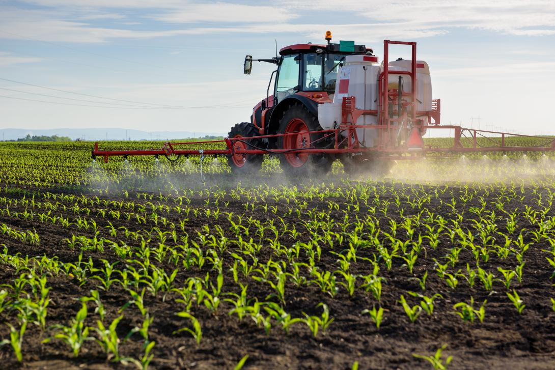 Traktor beim Spritzen von jungem Mais mit Pflanzenschutzmitteln 