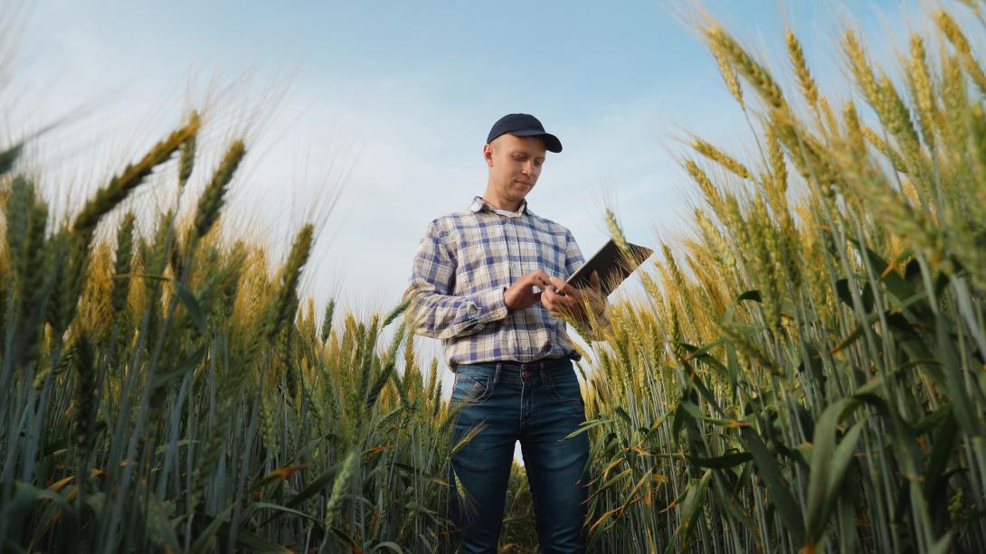  Junger Landwirt arbeitet mit einem Tablet in einem Weizenfeld