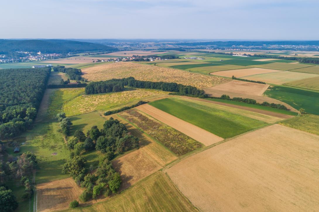 Kulturlandschaft mit vielen Feldern