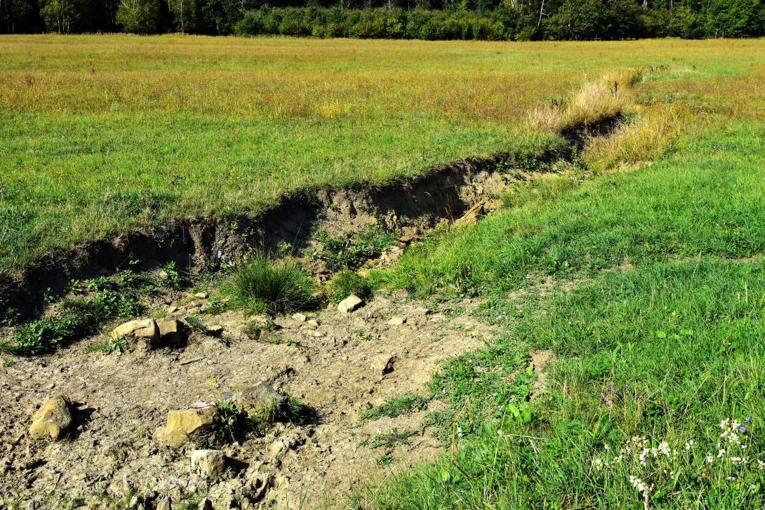 Bodenerosion durch Starkregen auf einer Wiese