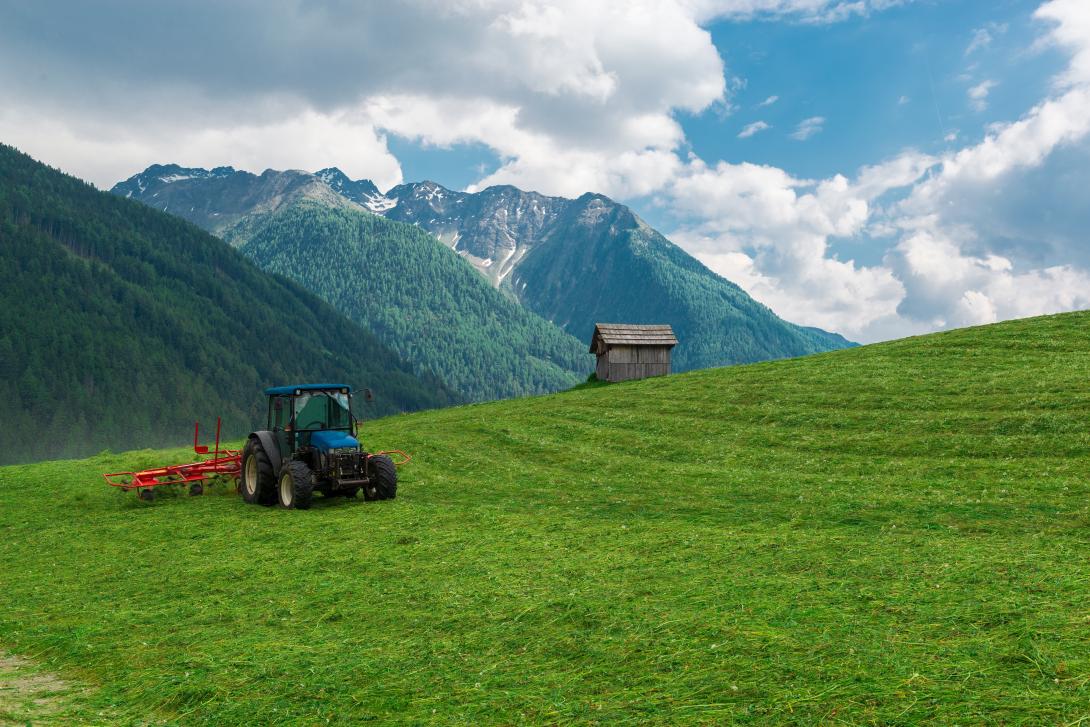 Ein Traktor mäht eine Wiese