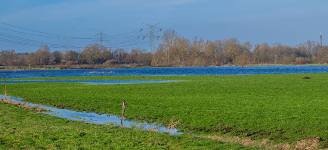 überschwemmte Wiese