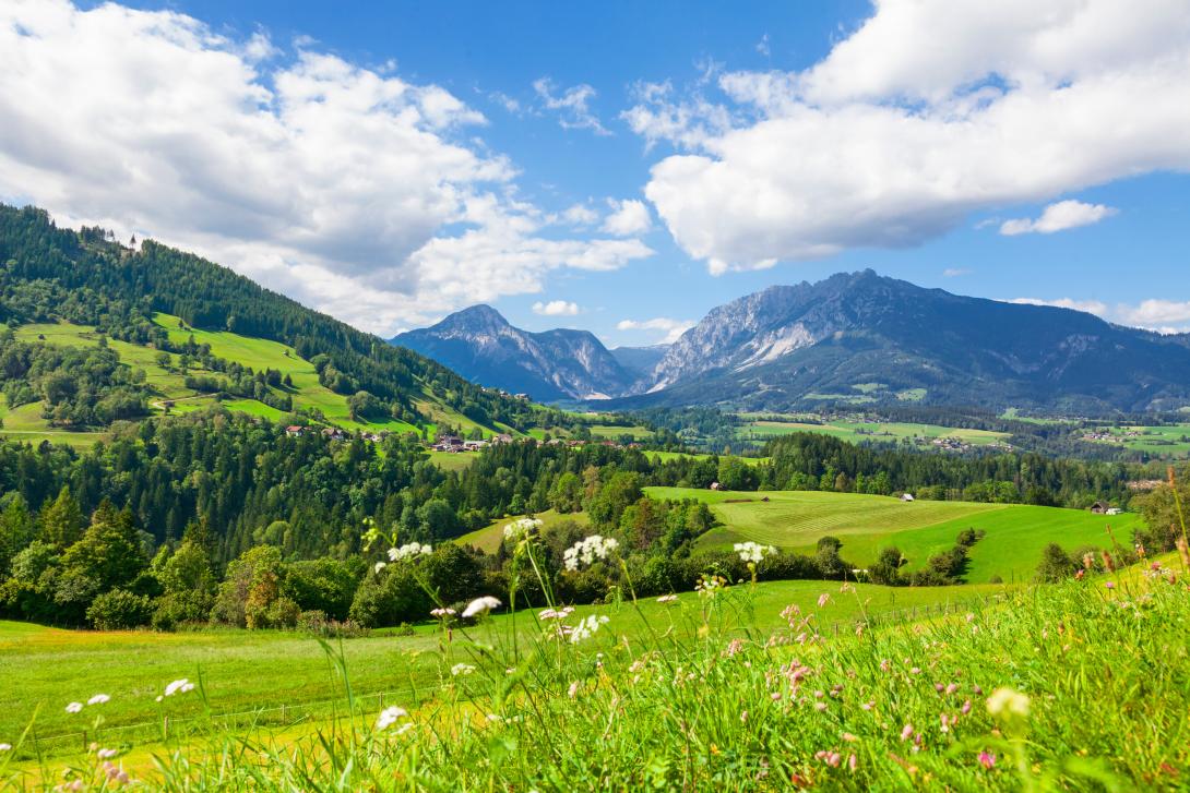 Berglandschaft mit grüner Wiese in Österreich