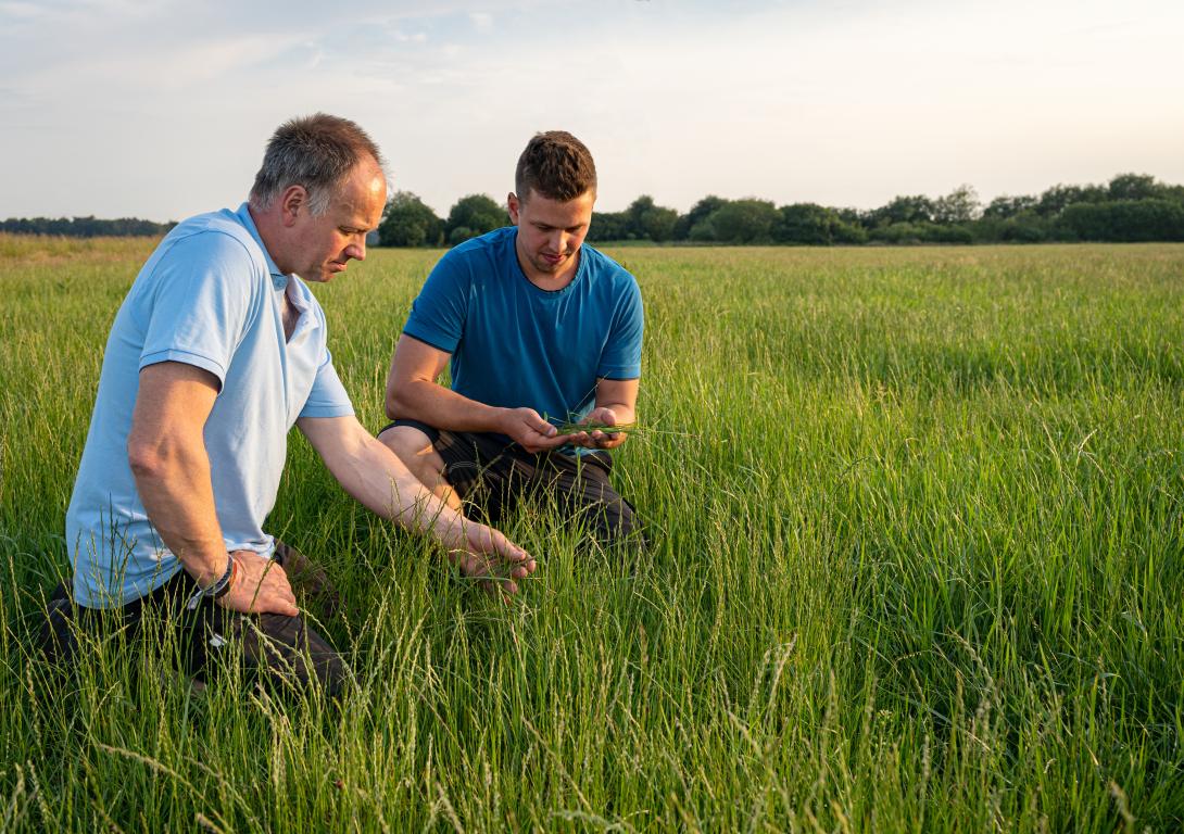 Zwei Landwirte begutachten Pflanzen auf einem Feld