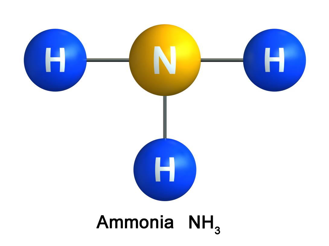 Ammonium Molekül