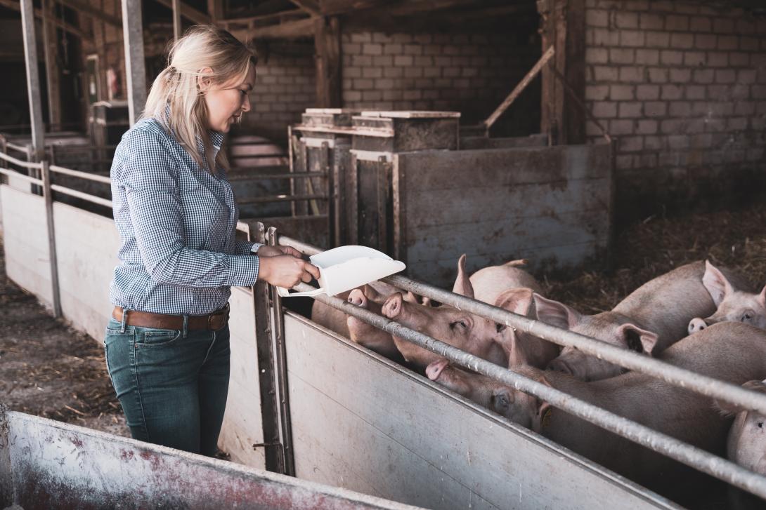 Eine Landwirtin im Schweinestall