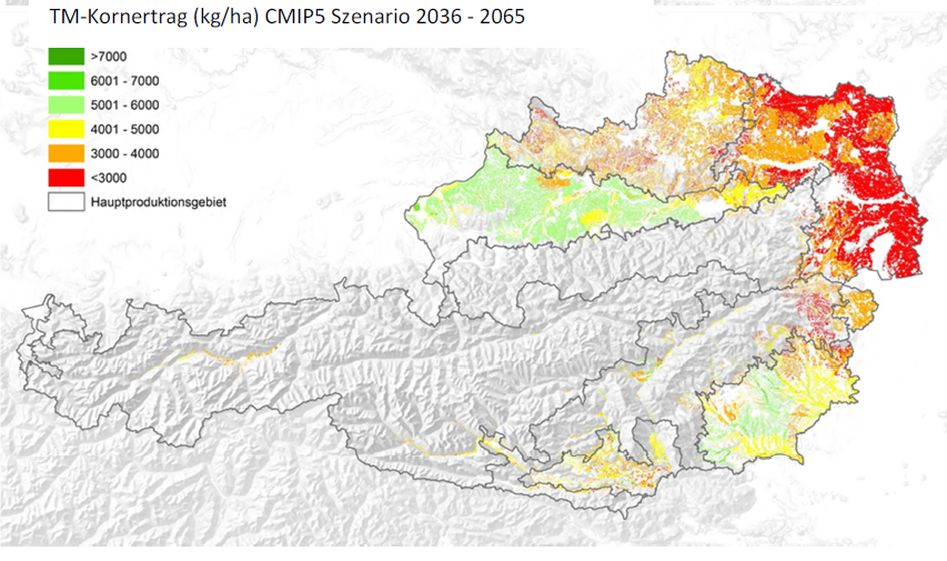 Trockenmasse-Kornerträge in Österreich 2036 - 2065